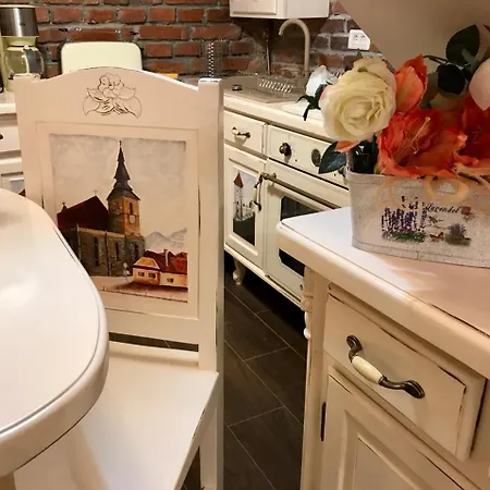 Apartment Cochet Brasov