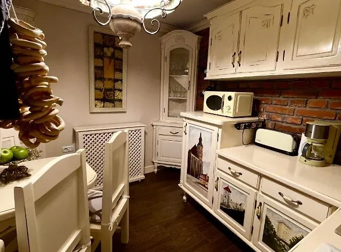 公寓 Cochet 布拉索夫