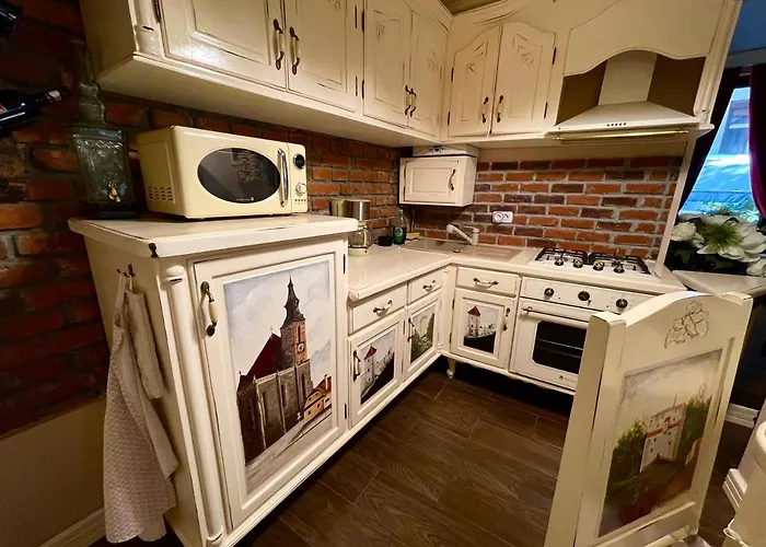 公寓 Cochet 布拉索夫