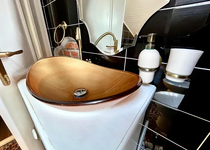 Cochet * 布拉索夫