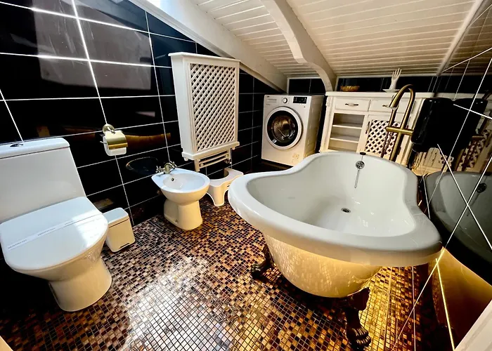 Cochet * 布拉索夫