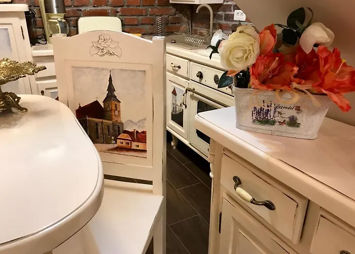 公寓 Cochet 布拉索夫